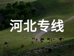 永年到河北专线物流电话